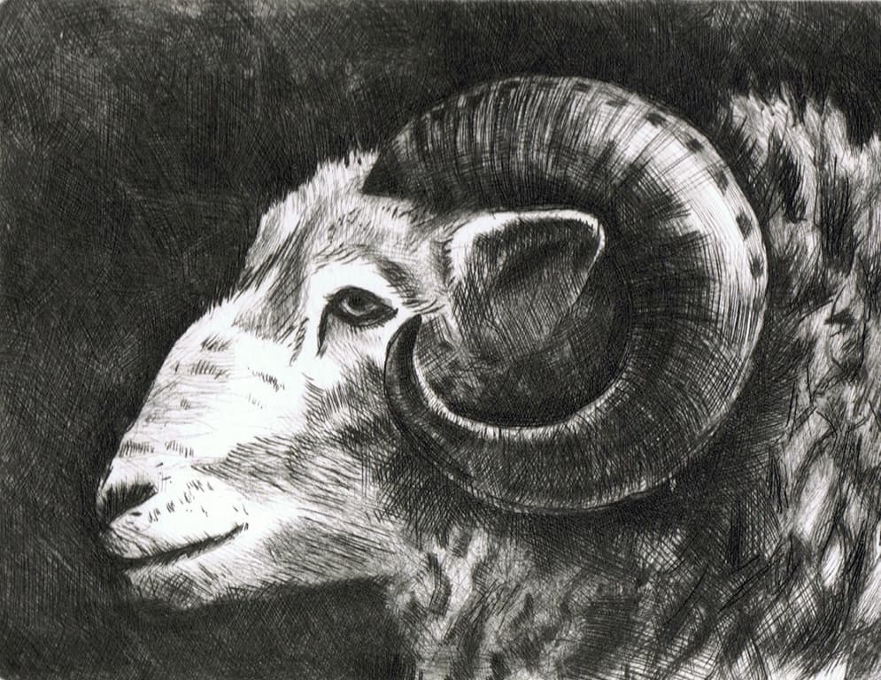 {image.alt}