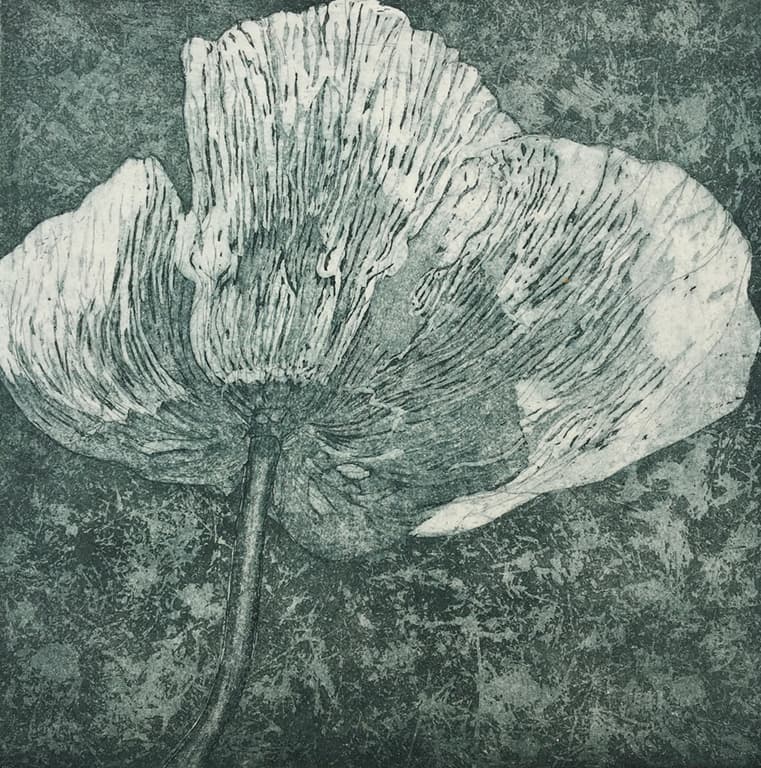 {image.alt}